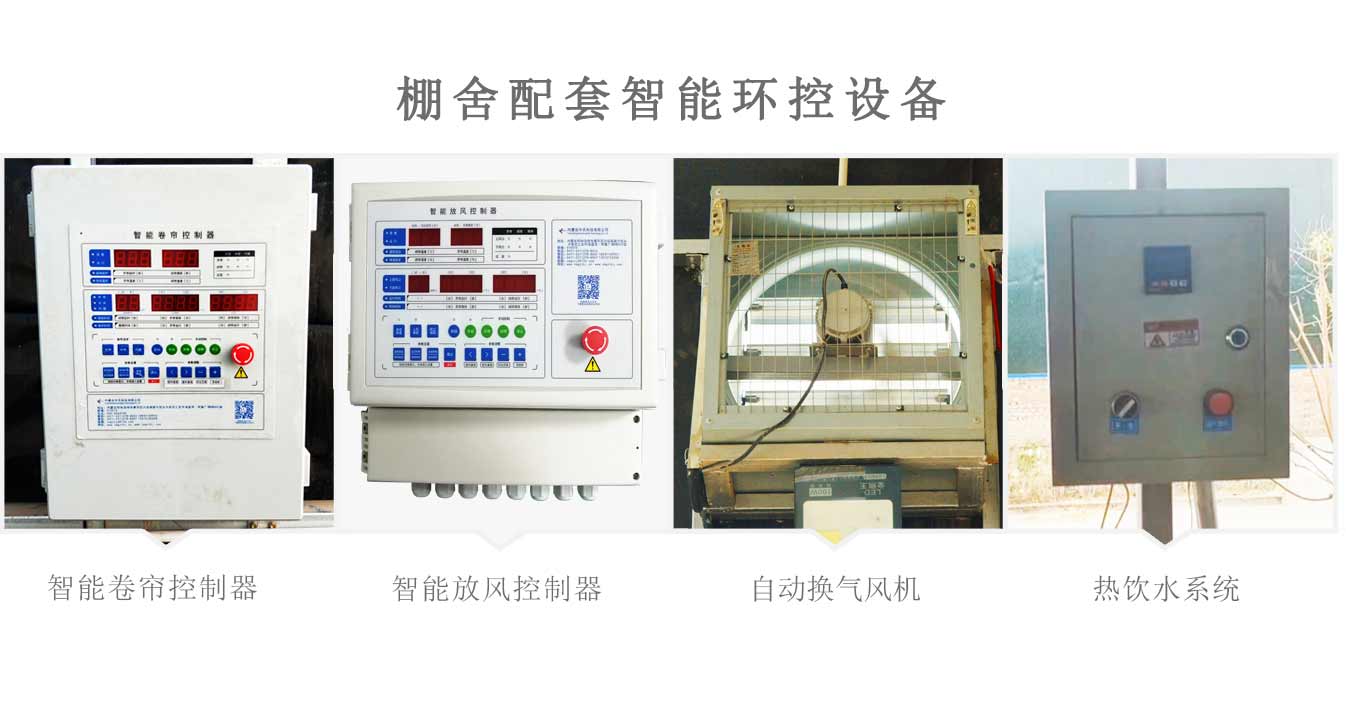 新型冬暖夏涼裝配式畜牧弧形棚舍3_10.jpg 新型冬暖夏涼裝配式畜牧弧形棚舍3_10.jpg