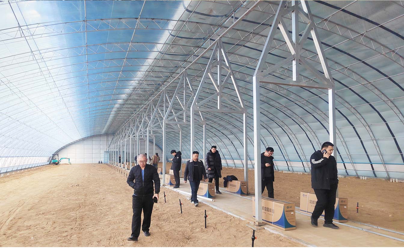 大路鎮(zhèn)苗家灘社區(qū)項目-智能溫室、日光溫室建設(shè)項目_09.jpg 大路鎮(zhèn)苗家灘社區(qū)項目-智能溫室、日光溫室建設(shè)項目_09.jpg