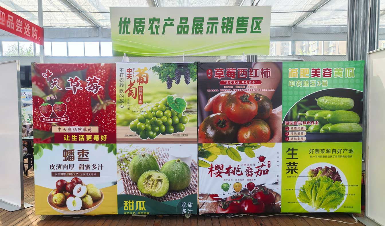 自治區綠色優質果蔬展銷中心psd-恢復的_15.jpg