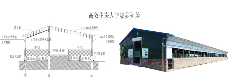 高效生態養殖艙_07.jpg 高效生態養殖艙_07.jpg