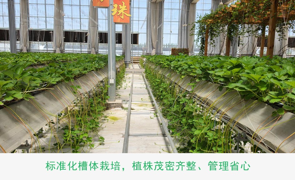 1、高品質種植框ps_10.jpg